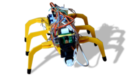 Hexapod